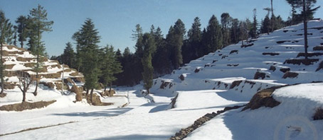 Himachal Tour Packages, Himachal Package Tours, Himachal Tourism, Tour Package to Himachal